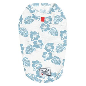 y1,290~ψz ^ ^Ngbv  hbOEGA ̕  h ڐG⊴ /ԕis [։ {bNXSbVN[^N