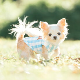 【まとめ買い最大15％OFF】【SUMMER SALE】犬 小型犬 血行促進 体幹安定 介護 可愛い タンクトップ 新作 犬服 通年 ドッグウエア 犬の服 特許取得 抗菌 防臭 交換OK/返品不可 メール便可 IFMC. イフミック タンクトップ