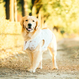 【まとめ買い最大15％OFF】【1990円均一】犬 大型犬 可愛い タンク 犬服 春 夏 犬の服 抗菌 防臭 接触冷感 防虫 虫よけ 交換OK/返品不可 メール便可COOLMAX 保冷剤付属/保冷ポケット付きバンダナ&タンク BS-BLL