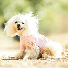 【まとめ買い対象】【均一SALE】犬 小型犬 可愛い Tシャツ 犬服 野球 ベースボール 春 夏 ドッグウエア 犬の服 虫よけ ニーム 交換/返品不可 メール便可ロゴメッシュ半袖TEE