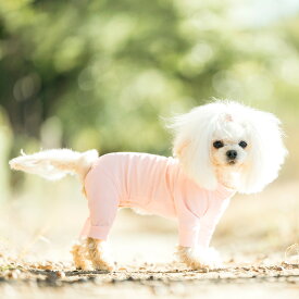【まとめ買い最大15％OFF】【ご愛顧SALE】犬 小型犬 可愛い ロンパース 犬服 春 夏 ウェア ドッグウエア 犬の服 防虫 抗菌防臭 接触冷感 交換OK/返品不可 メール便可クールメッシュロンパース