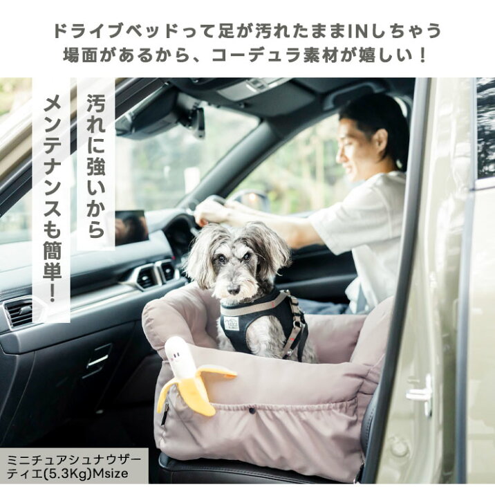 楽天市場】【まとめ買い最大15％OFF】【ご愛顧SALE】新色追加 小型犬 