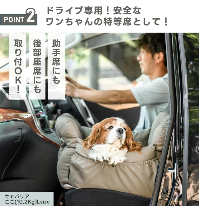 楽天市場】【まとめ買い最大15％OFF】【ご愛顧SALE】新色追加 小型犬 