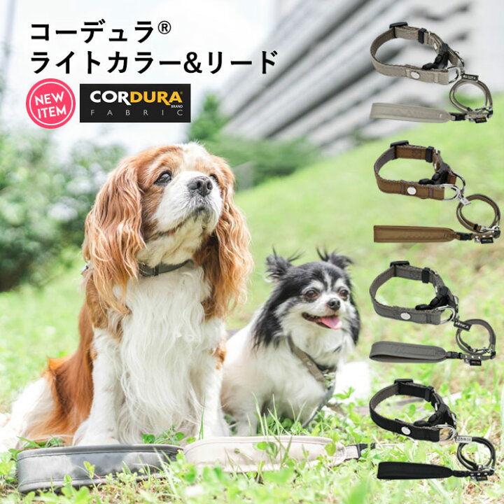 楽天市場 犬 小型犬 犬用 犬具 首輪 カフェリード リードセット 散歩 簡単装着 Cordura R 撥水 防汚 防油 サイズ交換ok 返品不可 メール便可 100円offクーポン対象 コーデュラ R ライト カラー リード 犬の服 Radica ラディカ