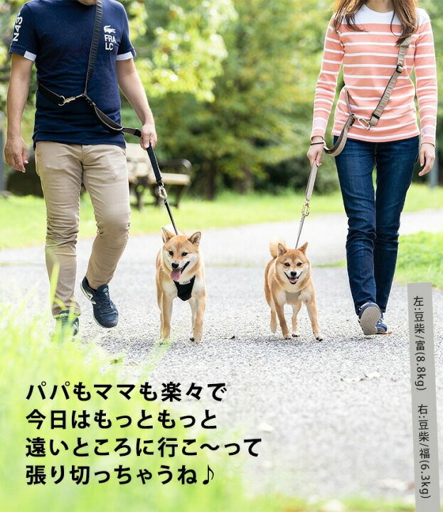 楽天市場 犬大型犬 犬用 リード ファッションリード 肩掛けリード 多機能リード 散歩 お出かけ Cordura R 撥水 防汚 防油 サイズ交換ok 返品不可 メール便不可 コーデュラ R 肩パット付き ショルダーリード 犬の服 Radica ラディカ