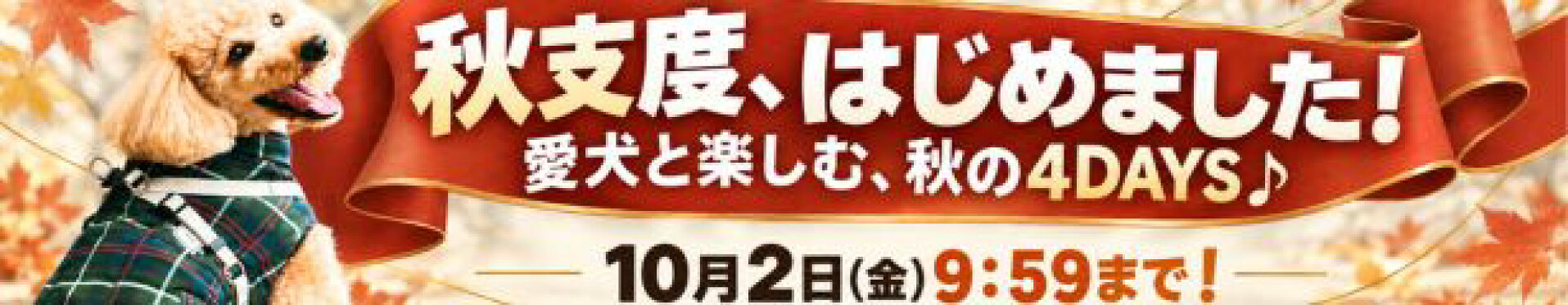 イベント