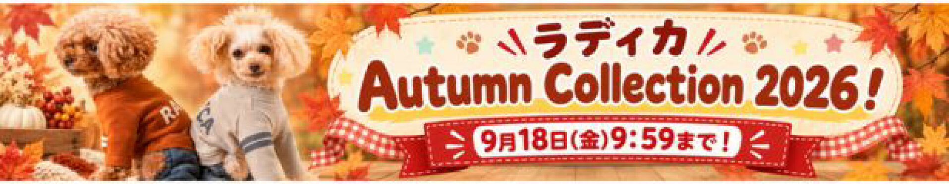 イベント