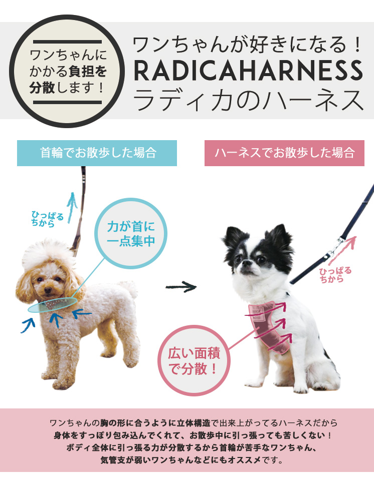 楽天市場】犬 小型犬 犬用 ハーネス 犬具 リードセット 散歩 お出かけ 