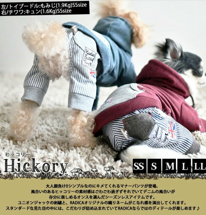楽天市場】犬 小型犬 犬用 マナーパンツ 犬服 マナーウェア マナーバンド ズボン パンツ ドッグウエア マーキング防止 男の子 介護用品 サイズ交換OK/返品不可 メール便可マナーパンツ : 犬の服 RADICA(ラディカ) 楽天市場】犬 小型犬 犬用 マナーパンツ 犬服 マナーウェア マナーバンド ズボン パンツ ドッグウエア マーキング防止 男の子 介護用品 サイズ交換OK/返品不可 メール便可マナーパンツ : 犬の服 RADICA(ラディカ)