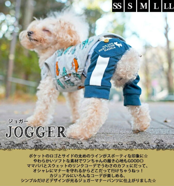 楽天市場 犬 小型犬 犬用 マナーパンツ 犬服 マナーウェア マナーバンド ズボン パンツ ドッグウエア マーキング防止 男の子 介護用品 サイズ交換ok 返品不可 メール便可マナーパンツ 犬の服 Radica ラディカ
