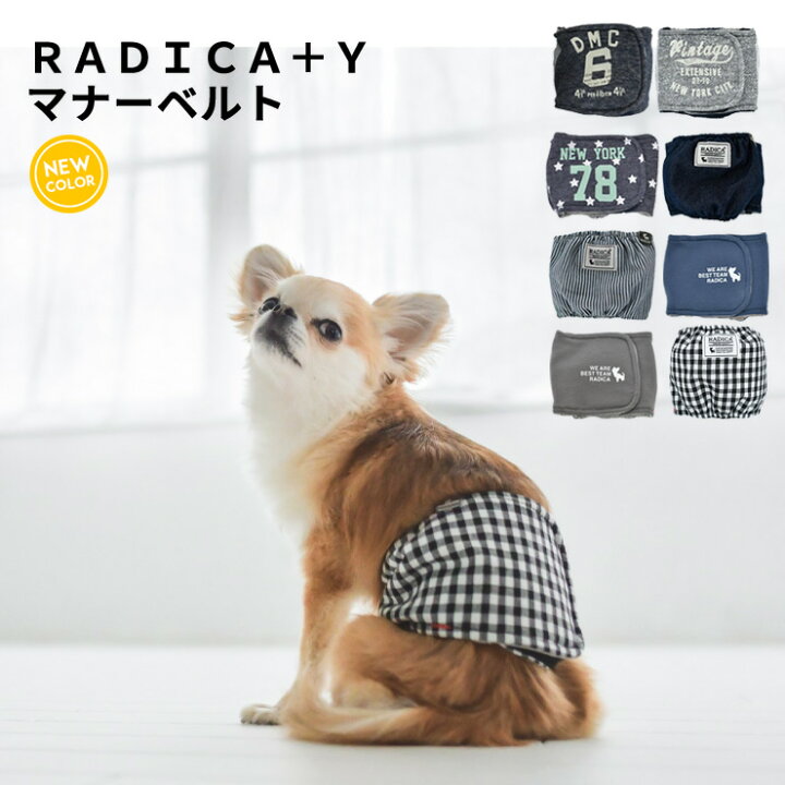 楽天市場 犬 小型犬 犬用 中型犬用 マナーウェア トイレ用品 マナーバンド ドッグウエア マーキング防止 介護用品 サイズ交換ok 返品不可 メール便可radica Y マナーベルト 犬の服 Radica ラディカ