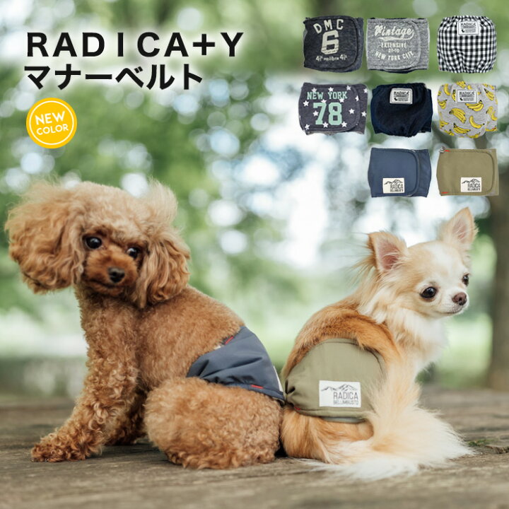 楽天市場】犬小型犬 犬用 中型犬用 マナーウェア トイレ用品 マナー  