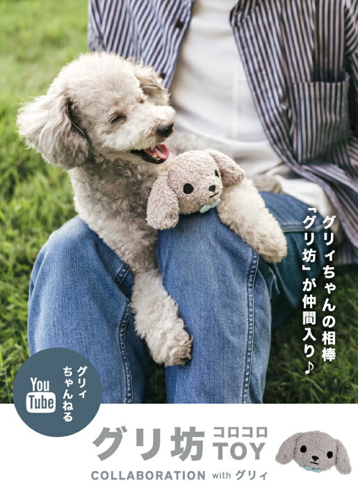 楽天市場 Toy トイ 犬のおもちゃ 犬用オモチャ ぬいぐるみ 超小型犬 小型犬 音が出るぬいぐるみ 猫のおもちゃ 玩具 布製 ドッグトイ グリィ Grie グリィちゃんねる 返品不可 メール便不可グリ坊 コロコロtoy 犬の服 Radica ラディカ 楽天市場 Toy トイ 犬のおもちゃ 犬用オモチャ ぬいぐるみ 超小型犬 小型犬 音が出るぬいぐるみ 猫のおもちゃ 玩具 布製 ドッグトイ グリィ Grie グリィちゃんねる 返品不可 メール便不可グリ坊 コロコロtoy 犬の服 Radica ラディカ