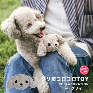 TOY gC ̂ pI` ʂ ^ ^ oʂ L̂ ߋ z hbOgC OB GRIE OB˂ ԕis [֕sOV RR