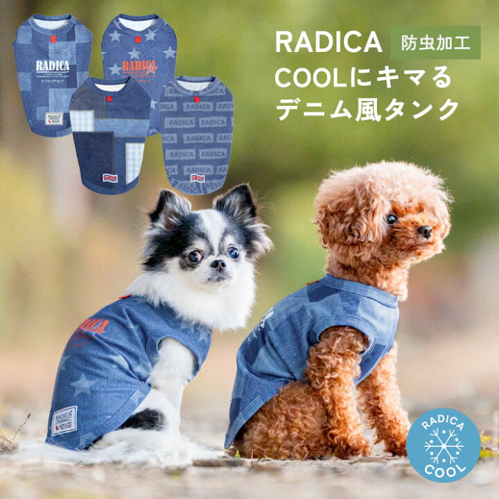 楽天市場】【まとめ買いクーポン対象】【10％OFF】犬 小型犬 可愛い 