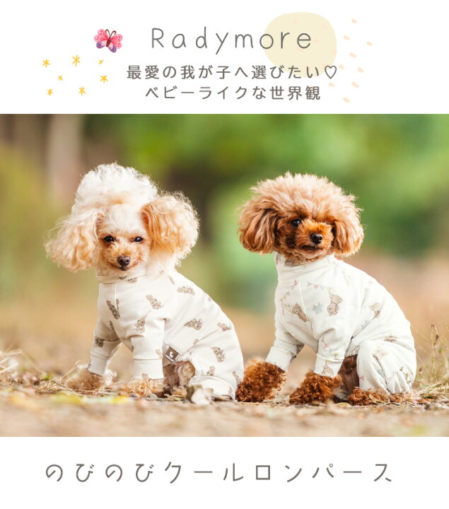 楽天市場】【まとめ買いクーポン対象】【10％OFF】犬 小型犬 可愛い 