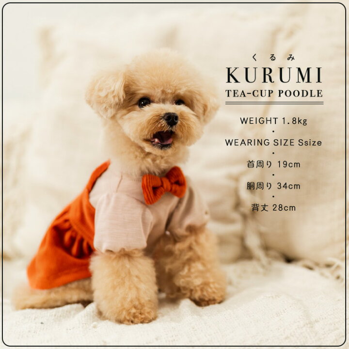 楽天市場 犬 小型犬 犬用 ワンピース 犬服 ウェア 犬の服 女の子 ジャンスカ くるみ プレサーモc 31 おしゃれ かわいい 服 サイズ交換ok 返品不可 メール便可コーデュロイ ジャンスカ風 ワンピ 犬の服 Radica ラディカ