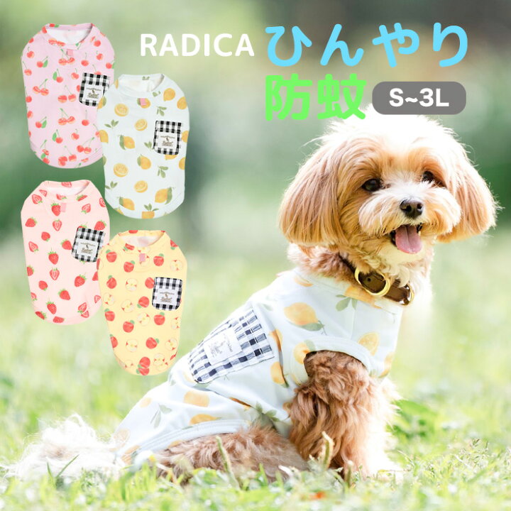 楽天市場】【990円均一】 犬 小型犬 可愛い タンクトップ 犬服 春 夏 