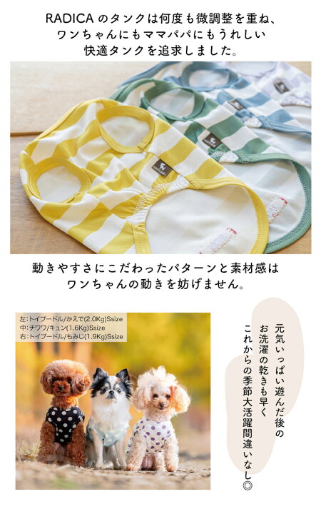 楽天市場】【990円均一】 犬 小型犬 可愛い タンクトップ 犬服 春 夏 