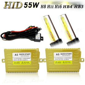 HID 55W HIDキット HIDヘッドライト フォグランプ H11 H8 H16 HB3 HB4 H9 3000k 6000k 12000k 黄金色 イエローゴールド 55Wなのに淡い色にならない Radies SK