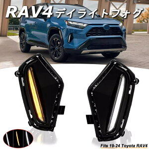 RAV4 LEDfCCg fCv tHOv LEDv LEDCg EBJ[ A