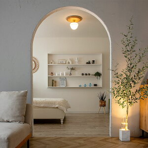 _|Cg10{^V[OCg ԐڏƖ VƖ  LED Q rO k Ebh X`[ KX _ NVJ  ㎿ 邢 1 Oh RAGDOL