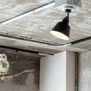 _|Cg10{^V[OCg ԐڏƖ  k VƖ LEDCg JtF CeA Vv ANZgƖ X`[ Ɩ X|bgCg 1 Rbg KORAT