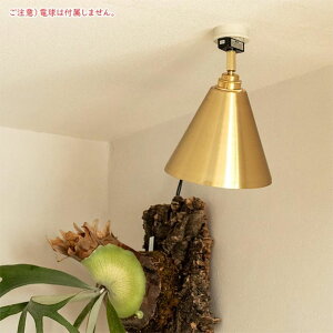 _|Cg10{^V[OCg ԐڏƖ  VƖ LEDCg X^CbV CeA Vv ANZgƖ X`[ Ɩ X|bgCg 1 A REAN