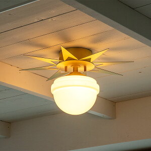 _|Cg10{^V[OCg ԐڏƖ VƖ  LED Q rO RpNg KXVF[h k z 邢 _ X`[ KX 1 tBNX PHYNX