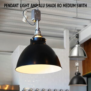 _300~N[|zz^y_gCg Ɩ  LED VƖ Vv  _CjO Lb` k LEDΉ A~VF[h 1 AMP ALU SHADE RO MEDIUM SWITCH