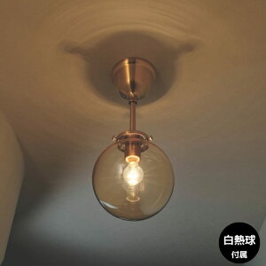 _|Cg12{^V[OCg  k Vv_ S[h KX LEDΉ VƖ Mdt C^[tH INTERFORM 1 P[X|bg Riquet Spot