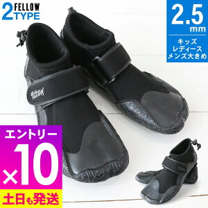[ԒGg[10{]yAEgbgiz[tu[c T[tu[c FELLOW 2.5mm T[tB Xvbg EGbgX[c C   h~ ی h Y fB[X 20F-RB1T