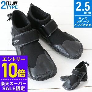 [Jn4ԌN[|]yAEgbgiz[tu[c T[tu[c FELLOW 2.5mm T[tB Xvbg EGbgX[c C   h~ ی h Y fB[X 20F-RB1T