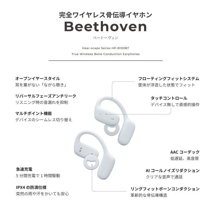 楽天市場】【ポイント10倍】ラディウス HP-B100BT 完全ワイヤレス方式 