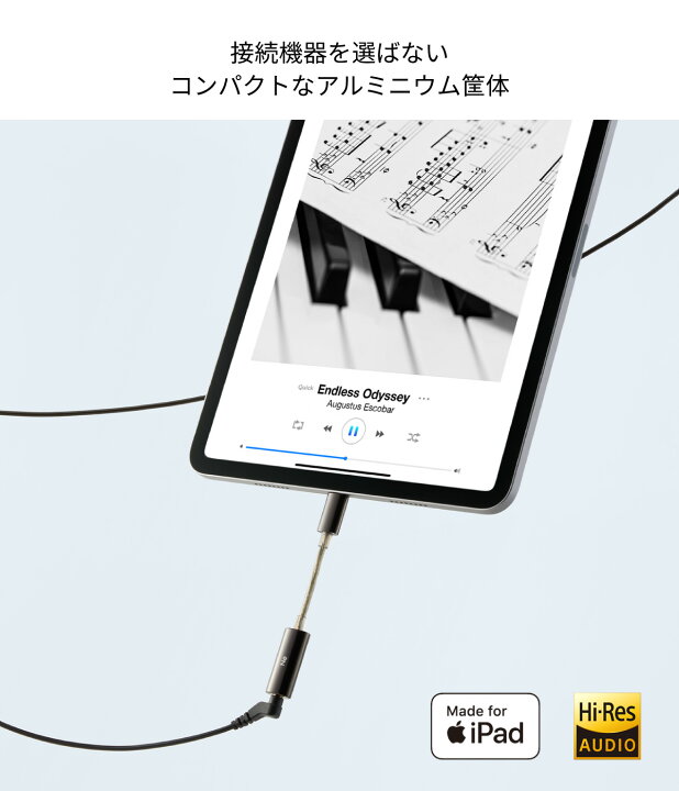 楽天市場】【ポイント10倍】ラディウス RK-DA70C ハイレゾ対応 USB-C 