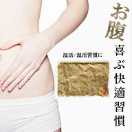 ホルミシス マット 商品 玉川温泉 岩盤浴 自宅用 北投石 製品 ゲルパッド ラドン ラジウム 鉱石 家庭 リ…