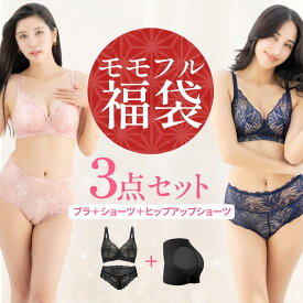 【LINE追加で500円OFF】 福袋 2026 ノンワイヤー ブラショーツ セット 吸水ショーツ ヒップアップショーツ 下着 レディース 育乳ブラ ブラシャー 脇高 バストケア 昼夜兼用 ホールド力 シームレス ガードル 補正下着 ハイウエスト 美尻 モモフル momoful
