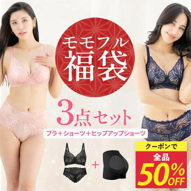 【全品半額★クーポンで10/14 20時〜】 福袋 2026 ノンワイヤー ブラショーツ セット 吸水ショーツ ヒップアップショーツ 下着 レディース 育乳ブラ ブラシャー 脇高 バストケア 昼夜兼用 ホールド力 シームレス ガードル 補正下着 ハイウエスト 【タイムセール】