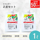 【11日1時59分までご新規様限定50％OFFクーポン配布中】 ラフィーシャンプー 1000ml 2個セット(6ヵ月分)　シャンプー 美容室専売 無添加 ノンシリコン 大容量 詰め替え サロン専売品 おすすめ シャンプー 美容師 美容室 抜け毛 女性 メンズ 子供 くせ毛 サロン 業務用 フケ