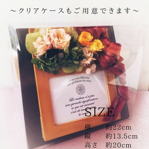 yNAP[XtzvU[uht[ʐ^ăO[XiI[Nj^AXizCgj^~ii`j