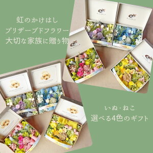 ybsOẑ͂vU[uht[LMtg