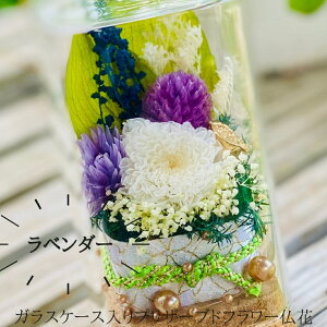 yzvU[uht[ԂƂ̃Zbg`a`