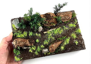 ZKfO(Segawa Modeling) 傫ȕLbg DO-1003 WI}pi 