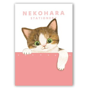 学研ステイフル ノート ねこハラ文具 B6 ピンク BD05023 送料無料