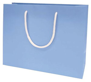 CfBS(indigo) bsO  L[obOM shbg Cgu[ 1 PC238 