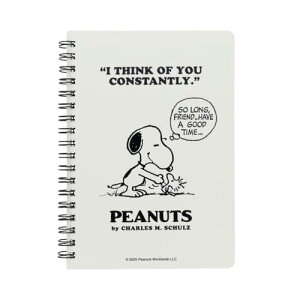 TX^[ Xk[s[ m[g Om[g B6 PEANUTS AJeCXg AC{[ S2642980 