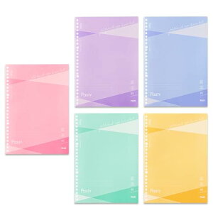 プラス ルーズリーフ Pasty B5 50枚 × 5色セット ノート型ルーズリーフ NL-005DS-P 76030〜76034 ×5 送料無料