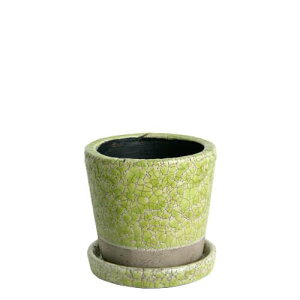 ダルトン(Dulton) 植木鉢 プランター 3.5号 ライムグリーン 受け皿付き 穴あり 陶器鉢 カラー 園芸用品 高さ9.5cm 上 送料無料