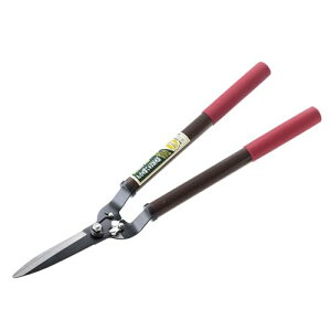 L{V(Kinboshi) S[fX^[  A~ olt Ő 2037 