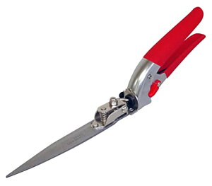 L{V(Kinboshi) XeX] Ő 2109 